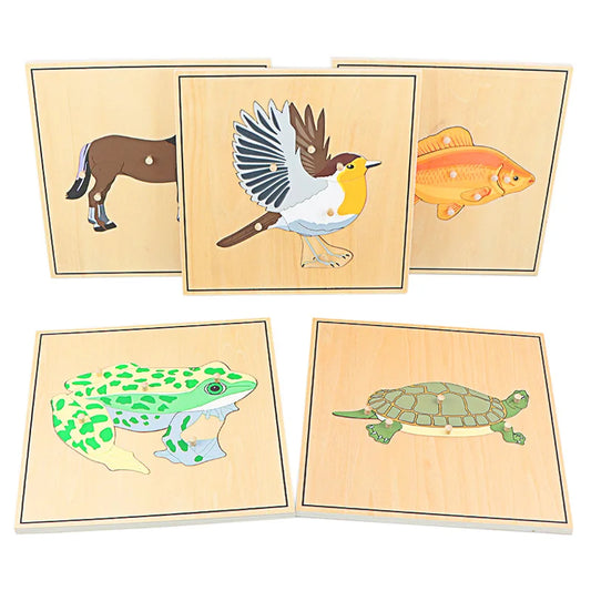 Children Educational Toys Montessori Materials Biology Wooden Skeleton Puzzle Frog Horse Tortiose Fish Bird Animal Toys for Boy