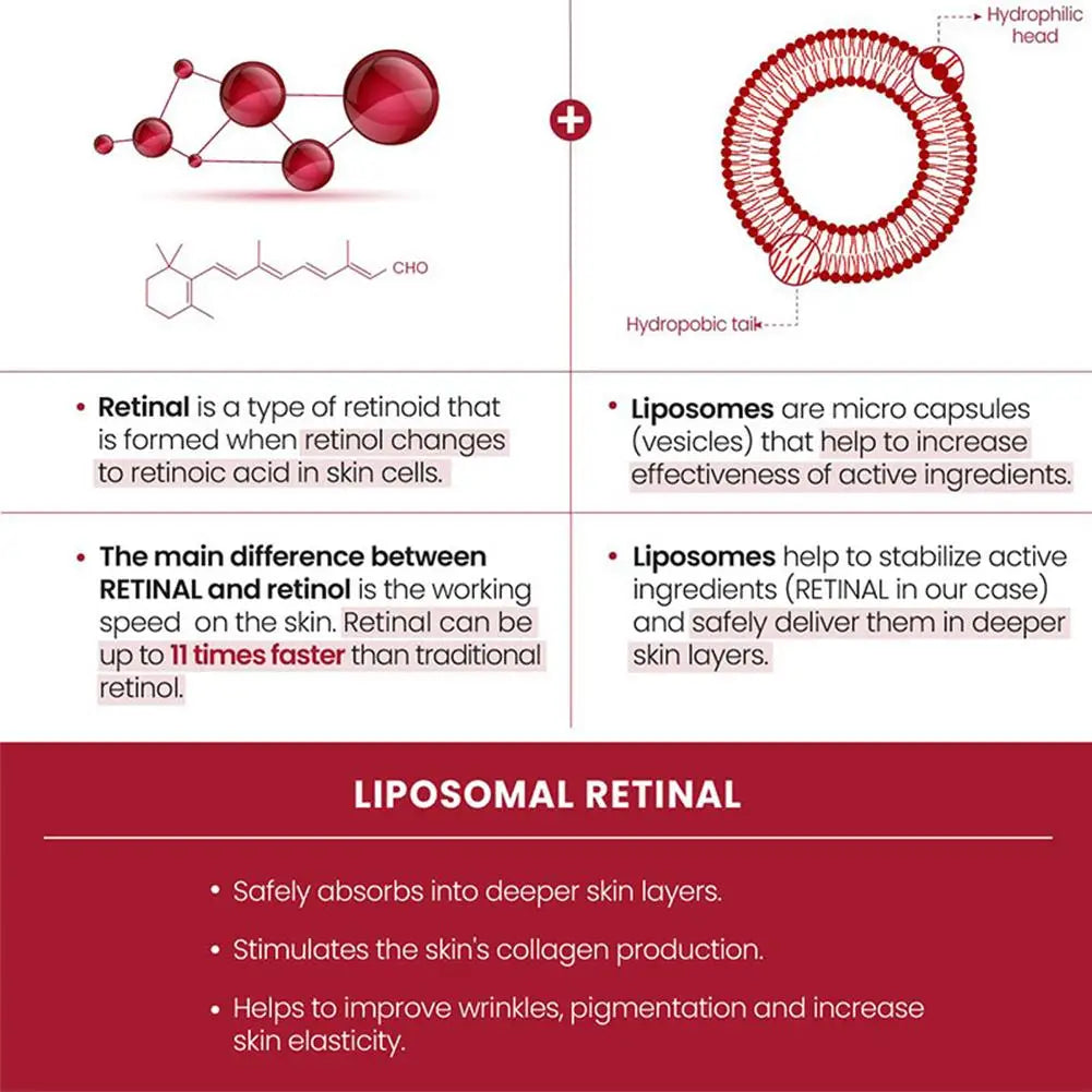 Korean SEOUL 1988 Moisturizing Serum Niacinamide Sunscreen Snail Cream Black Gingeng Extract Glow Face Serum Improve Skin Care